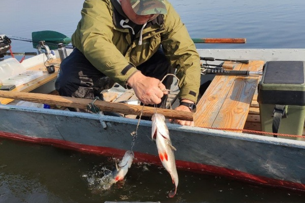 На Тернопільському ставі муніципальна інспекція запобігла несанкіонованому лову риби