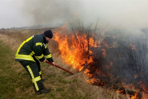 Жителям Тернопільщини нагадують, що за спалення сухої трави і листя — штраф