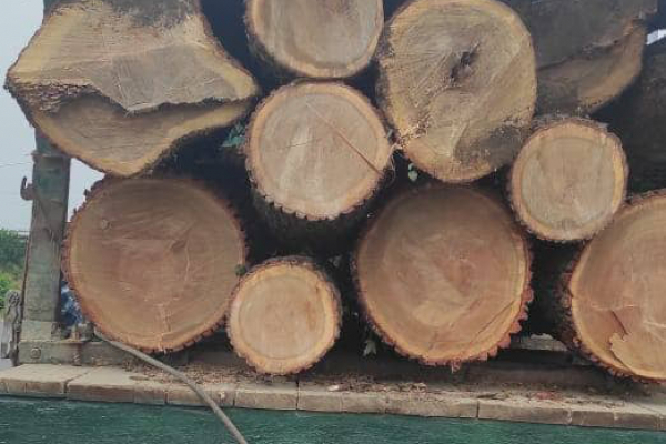 Незаконно перевозив деревину: на Тернопільщині затримали водія вантажівки