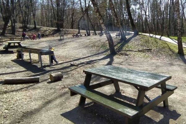 У тернопільському Парку здоров’я на 12-річного хлопчика впало дерево