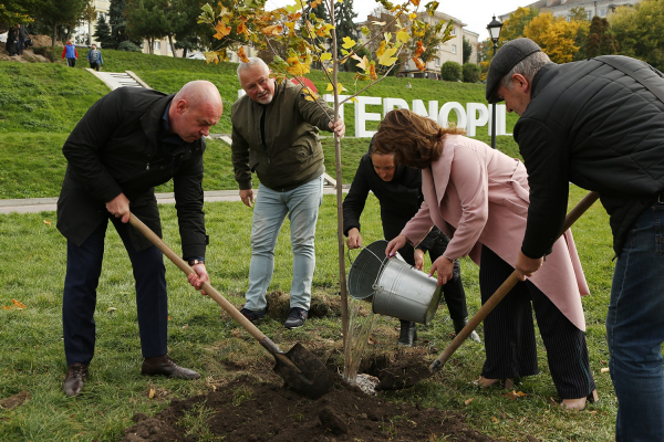 У 2021 році в Тернополі висаджено 600 нових дерев та кущів 
