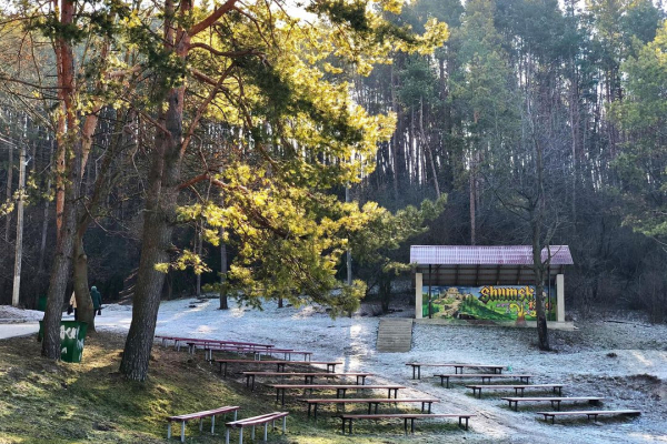 Зима з весною обійнялися: оприлюднене наймовірно гарне фото зустрічі двох пір року в парку на Тернопільщині