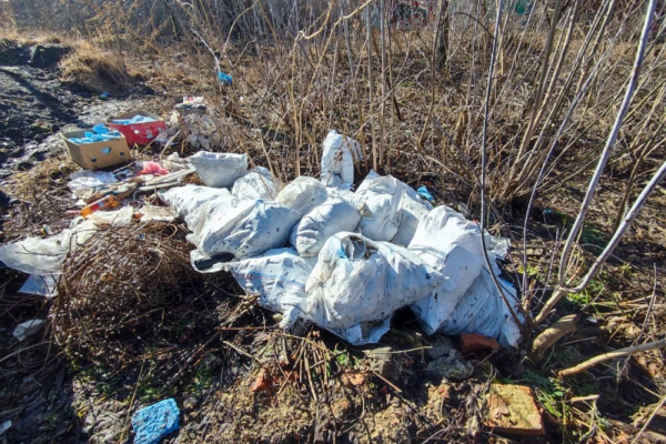 Посеред Тернополя чоловік викинув купу побутового сміття і будівельні відходи