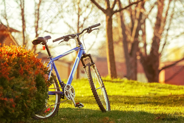 У Тернополі в парку підліток на велосипеді збив 5-річну дівчинку
