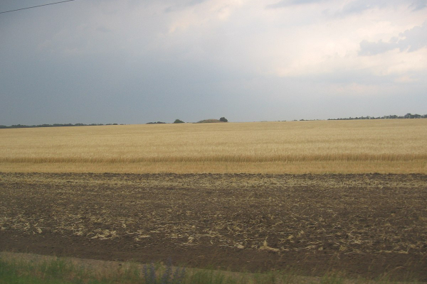 На Тернопільщині громаді повернули понад 100 гектарів землі, яку незаконно використовувало підприємство