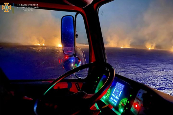 На Тернопільщині рятувальники гасили пожежу у полі