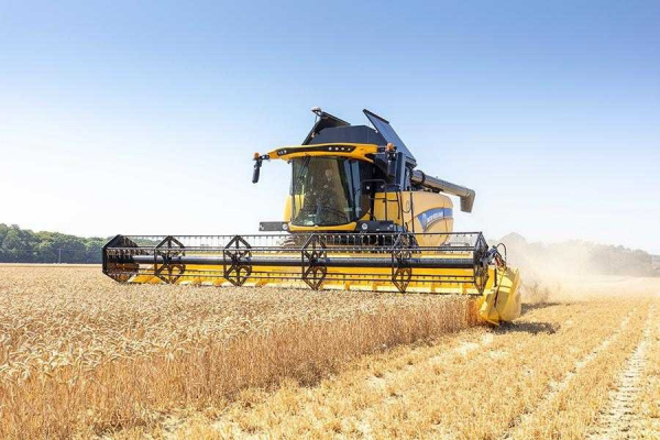 На Тернопільщині зібрали перші 100 тисяч тонн зерна