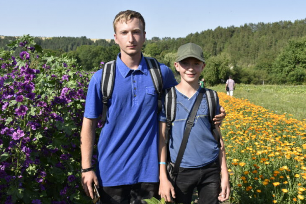 На Козівщині два брати засадили пів городу квітами