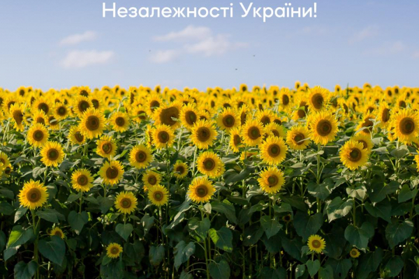 Щиро вітаємо з Днем Незалежності України! «Креатор-Буд» бажає єдності та порозуміння і щасливого майбутнього нашої держави!