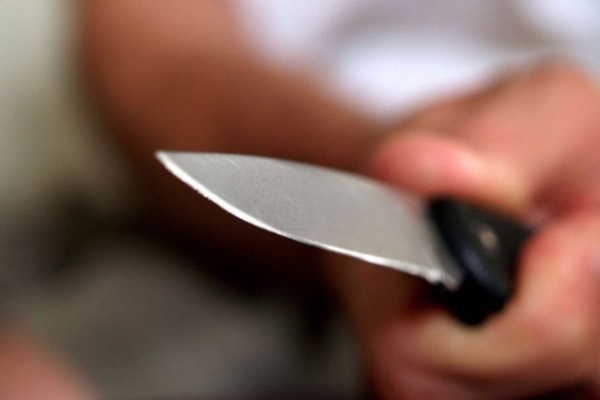 Вдарив ножем 105 разів: жтеля Тернопільщини засудили на довічне