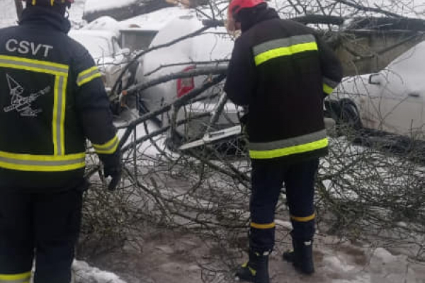 Під час негоди у Тернополі дерево впало на автомобіль