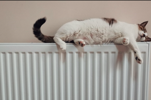 Уже відомо, коли у Тернополі котикам буде не спекотно спати на батареях