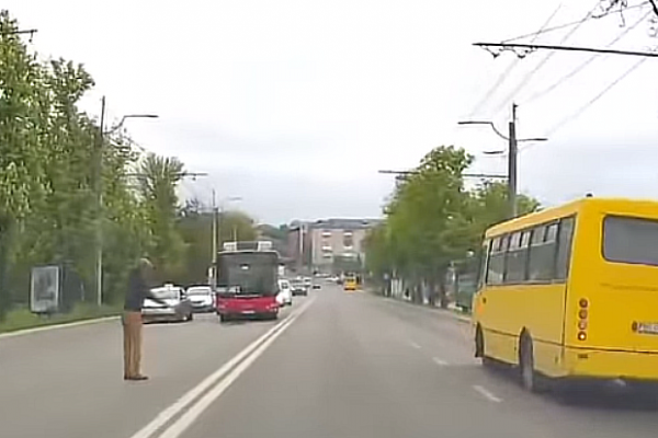 У Тернополі чоловік перекрив дорогу, щоб транспорт не збив качку з каченятами