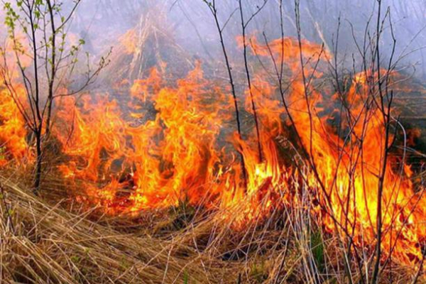 Рятувальники Тернопільщини тричі за добу гасили пожежі сухої трави