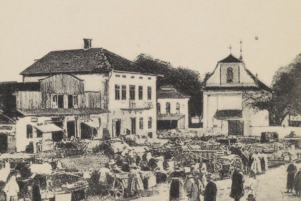 Архітектура селища Товсте на фото 1900-х років