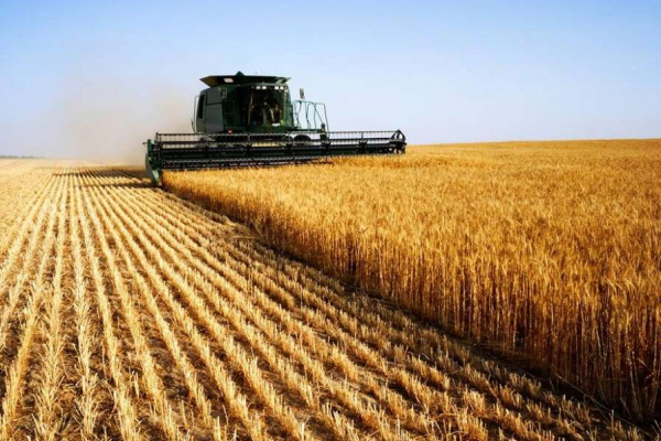 Понад мільйон тонн зерна намолотили аграрії Тернопільщини