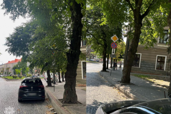 Замасковані дорожні знаки та світлофори виявили у Тернополі.