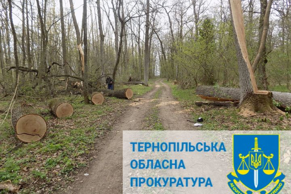 Лісгосп на Тернопільщині має відшкодувати 160 тис грн за незаконно зрубані дерева