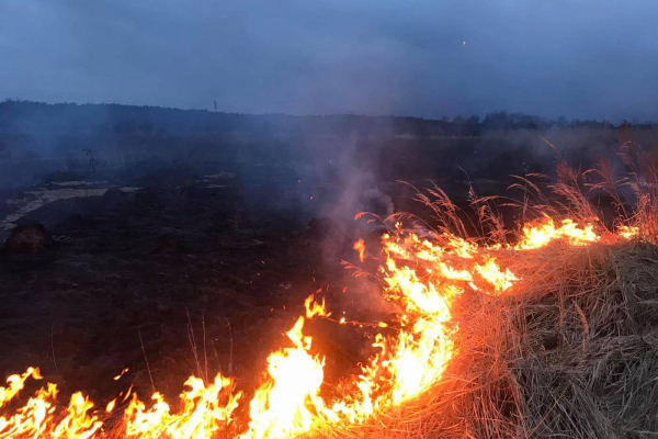 На Тернопільщині горіла суха трава і сміття: вогонь охопив майже два гектари площі