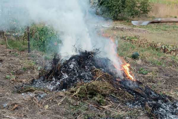 Жителів Тернопільської громади штрафують за спалення сухої рослинності