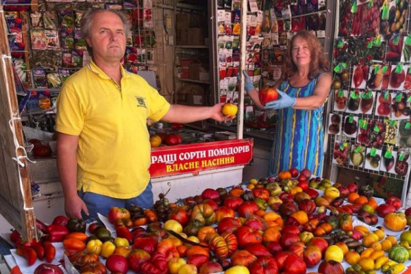 Городники з Тернопільщини вирощують та продають насіння 800 сортів помідорів