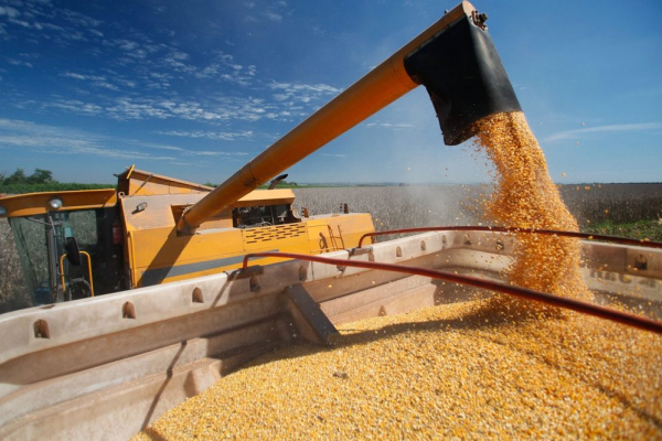 Аграрії Тернопільщини збирають врожай: уже зібрали 1,7 мільйона тонн зерна