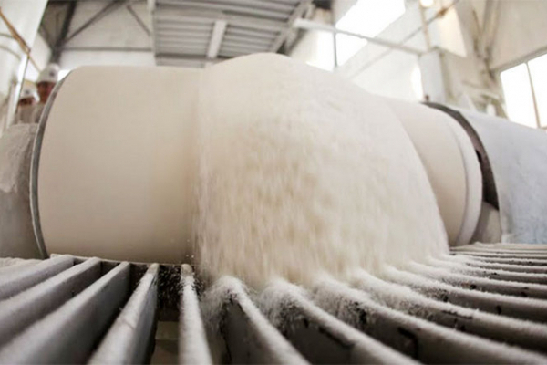 43 тисячі тонн цукру з початку року: на Тернопільщині триває сезон цукроваріння