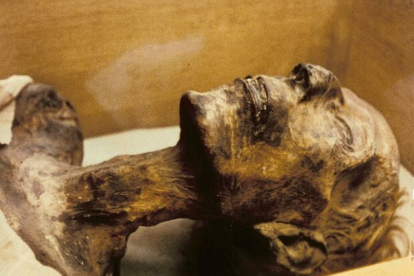 Аналіз ДНК майже сотні єгипетських мумій шокував вчених