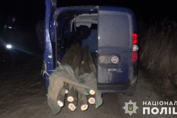 На Чортківщині затримали чоловіка, який зрубав дерева у «Дністровському каньйоні»