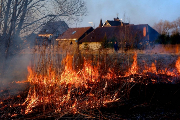 За добу рятувальники Тернопільщини гасили чотири пожежі сухої трави