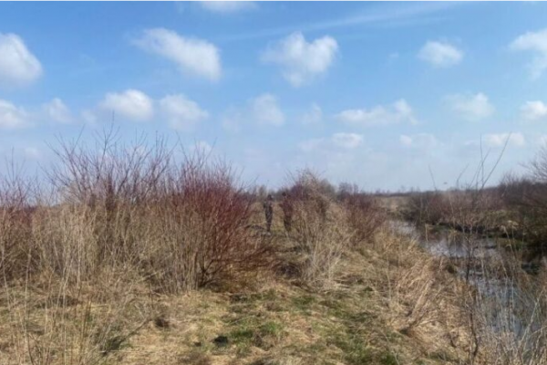 На Тернопільщині біля ставка знайшли мертвого 36-річного жителя Почаєва